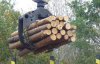 На Житомирщині СБУ викрила механізм легалізації та експорту незаконних лісо- та пиломатеріалів