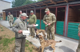 Десять вівчарок передали волонтери прикордонникам Житомирщини для охорони кордону