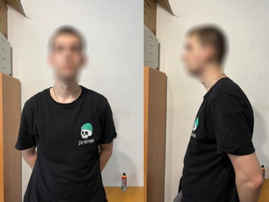    ,    䳿  