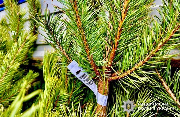 ���������� ��������� ��������� ��� ������� ������� �� ��������� ������� �����