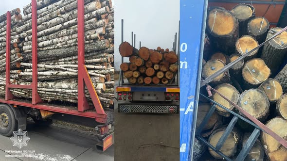 �� ������� ����� �� ����������� ������� 50 ������� ����������� ����������� ������������