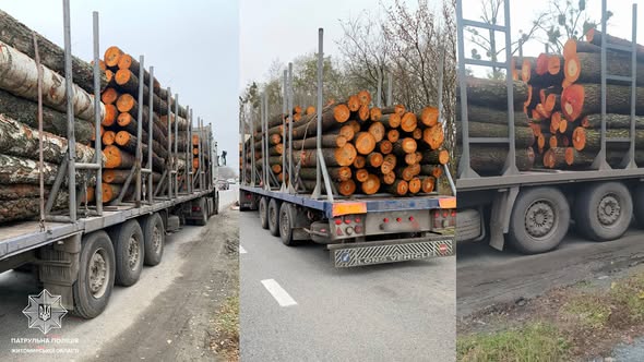 �� ������� ����� �� ����������� ������� 50 ������� ����������� ����������� ������������