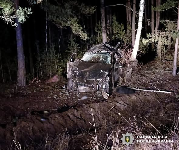 �� ����������� ��������� Suzuki �ʼ���� � ����� �� �����������: ��� ����� ����������