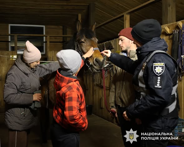 ����������� ������ ����������� ������������ ��������� ��� ���� ���������� ���������������