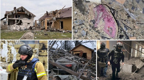 ���� �����������: ����������� ������� ��� ����� ���� ������ �������� �����