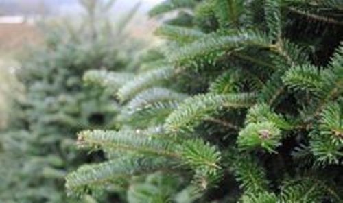 �� ��������� ������� ������ ������� ����� �������� ������ �� ����� �� ���������