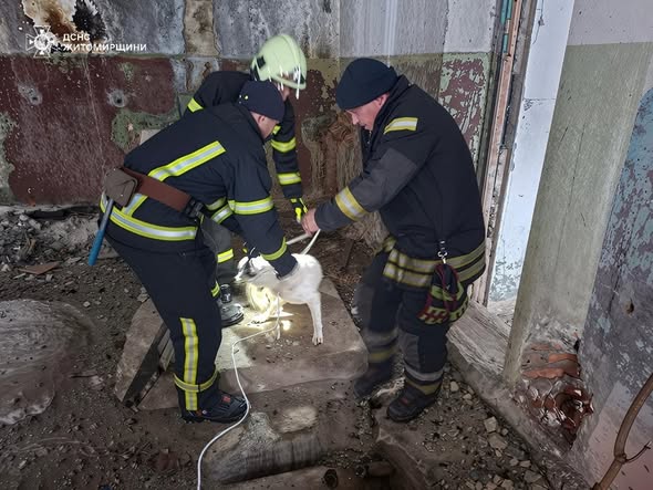 � �������� ������� ���� ��������� ������, ���� �������� �� ����������� �������������� ��������