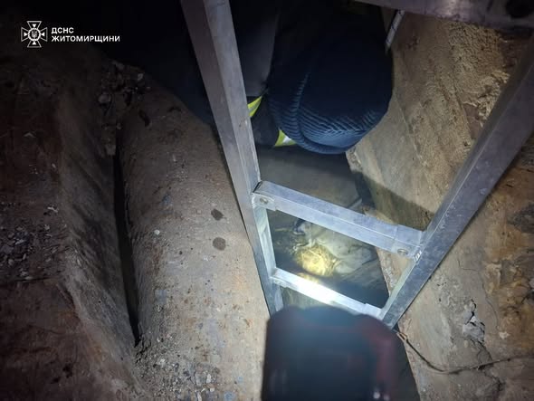 � �������� ������� ���� ��������� ������, ���� �������� �� ����������� �������������� ��������