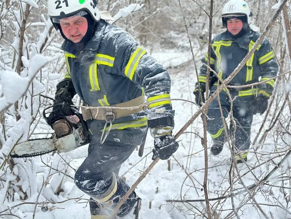 ³���� �������: � ����������� ������ ����� �������� ������� ������