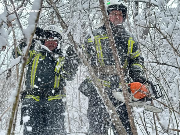 �� ����������� ������������ ����������� ����������� ������� ������