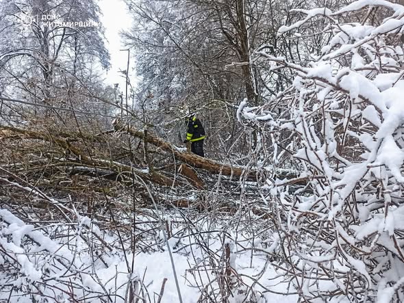 �� ����������� ������������ ����������� �������� �������� ��������� ����� ������� ������� �����