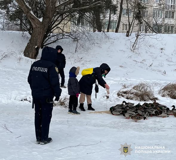 � ������������� ������ ��������� �� ������������ ��������� ���������� ������� ������� �� ����