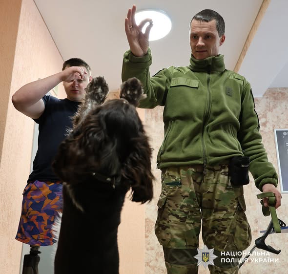 ����� ����� � �������: ��������� ����������� ������� ������������ ������ ��� ���������