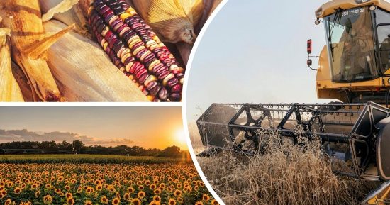 ������ ����������� 2025. ���������� ����� � ������