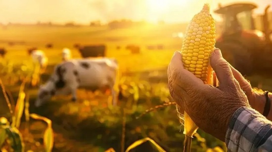 ����������� ����� ����� ������������. ���������� �������� �������� ����������� � 2026 ����