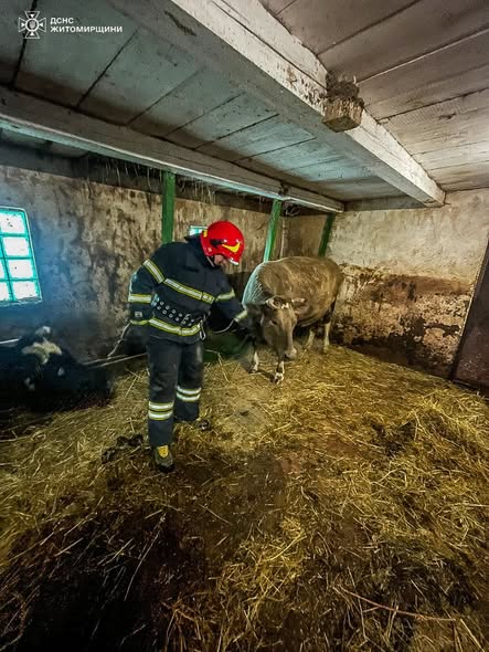 � ������������� ������ ������������ ������ �������� � ���������� �������