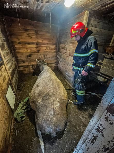 � ������������� ������ ������������ ������ �������� � ���������� �������