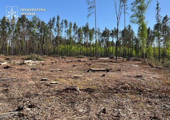 � ������������� ������ ������� ����� ��������� ������� ��� �� ����� 1,3 ��� ��� � �������� �������� ���������� ��� ������