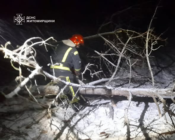 � �������������� ������ ������������ �������� ������� ������ � ������