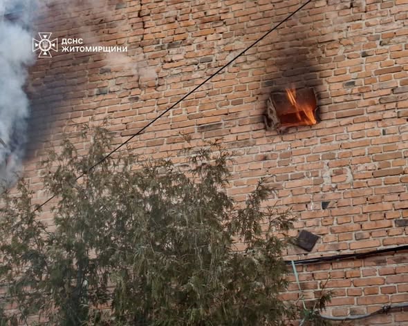 � ��������� ������������ ��������� ������ �� ������� ����������