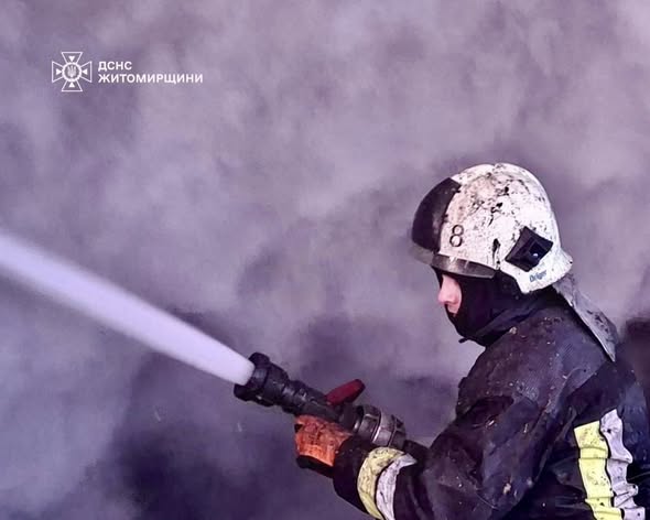 � ��������� ������������ ��������� ������ �� ������� ����������