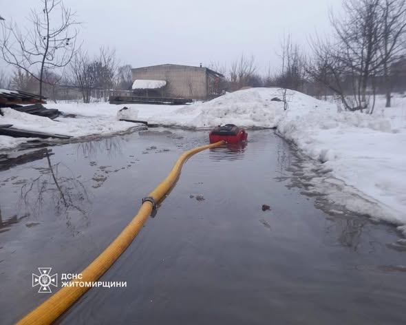 � ������ ������������ ����������� ������� ���������� �� ������������ �������