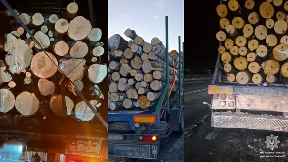 �������� �������� ����� �� ����������� ����������� ��������� ����������� 12 ����� ��������� ����������� ��������