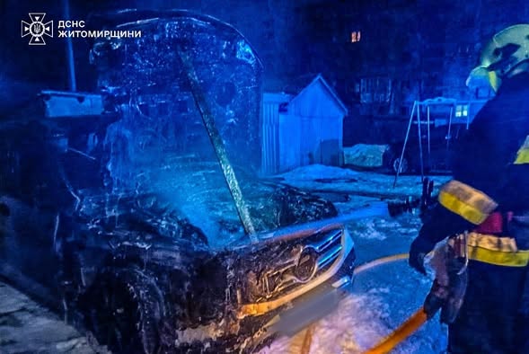 �� ����������� �������� ������ ���� ������������ ���� ����������� ��������� ���������