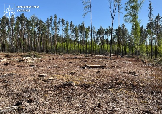 �� ����������� ���������� �������� �������� �����, �� �������� ��������� ������� ��� �� ����� 13 �������� �������