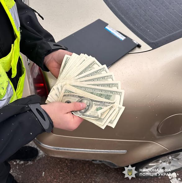 ������ �� 5600 ������: ��������� ����������� ��������� ����������� � ����������� ����