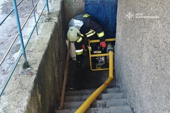 � ��������� ������������ ����������� ������� ���������� ������ �ʼ�������������