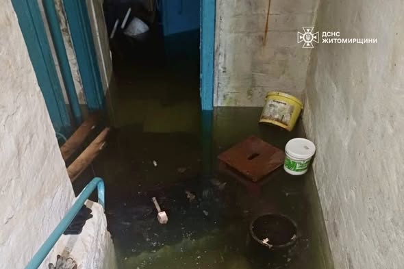 � ��������� ������������ ����������� ������� ���������� ������ �ʼ�������������