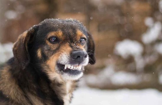 � ������� ����������� ������� ����� � �������