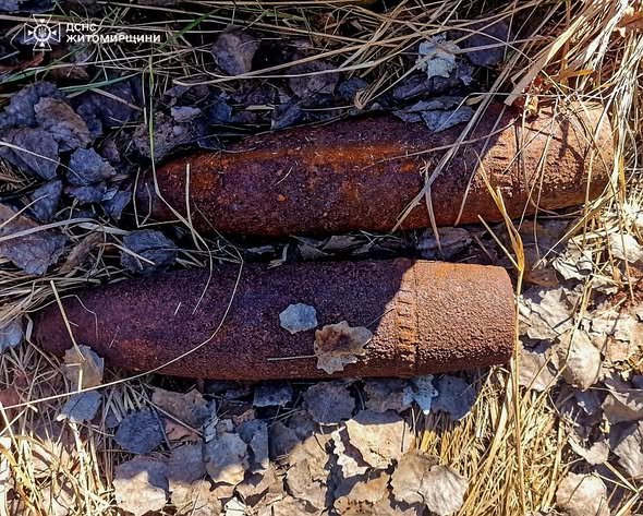 � �������������� ������ ������ ���� ������� ���������� �������� ���� ����� ������ ����