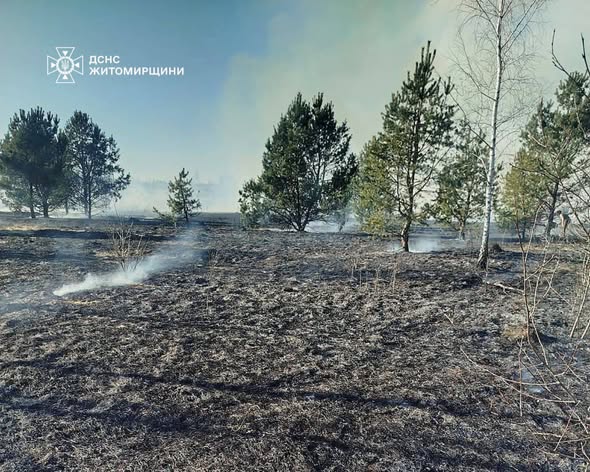 �� ����������� ������ ������� � ������ ���������� ������ ��������