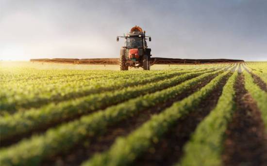 ��� ��������� ������������ � �������� ������ �������� ������ �����������