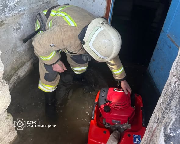 �������� ���������� ������������ ���� ���������� �� ������� ����  �� ���������� �������