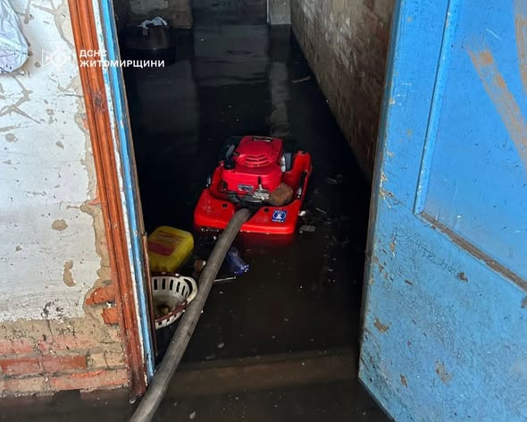 �������� ���������� ������������ ���� ���������� �� ������� ����  �� ���������� �������