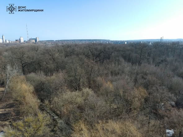 �� ����������� �������-������������ ������ �������� ��� ������������� ����� � �����������