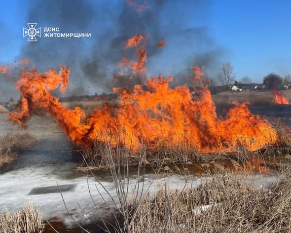 � ������������� ������ �� ��� ����������� ������ ���� ����� ����������� ������ 