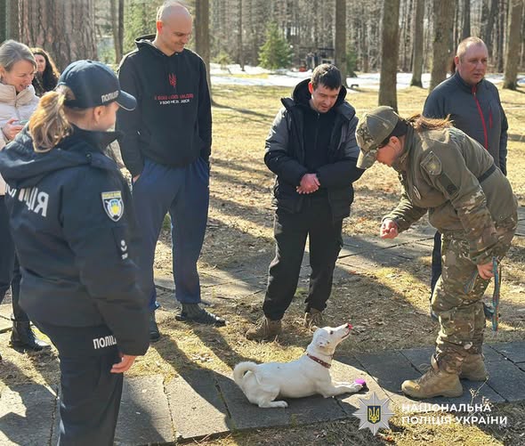 �� ����������� ������������� ������� ��� ������� ������������� ������ ��� ��������� ���������