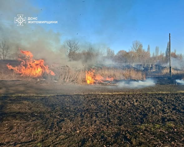 �� ����������� �������� �������� �� ��� ����� ���� ���������� ������������ ��� �����