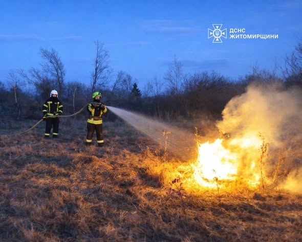 �� ����������� ������������ ���������� ����� � ��������� �����������