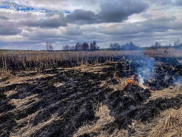 �� ����������� ������������ ����������� �������� � �������� � �����������