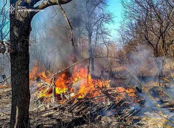 �� ����������� ������������ ����������� �������� � �������� � �����������