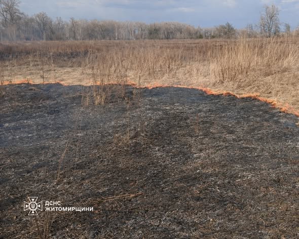 ������������ ����������� ����������� ������������ ����� � �����������