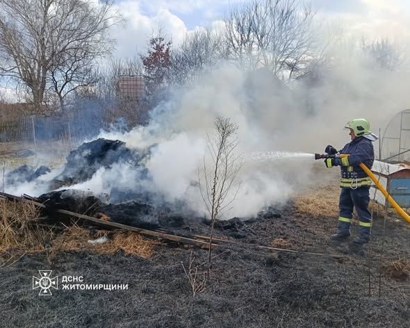 ������������ ����������� ����������� ������������ ����� � �����������