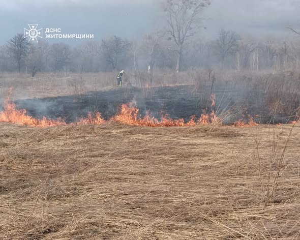 ������������ ����������� ����������� ������������ ����� � �����������