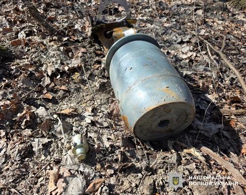 ������������� ������ ����������� �����������: ������� ����� ���������� ����������� ���