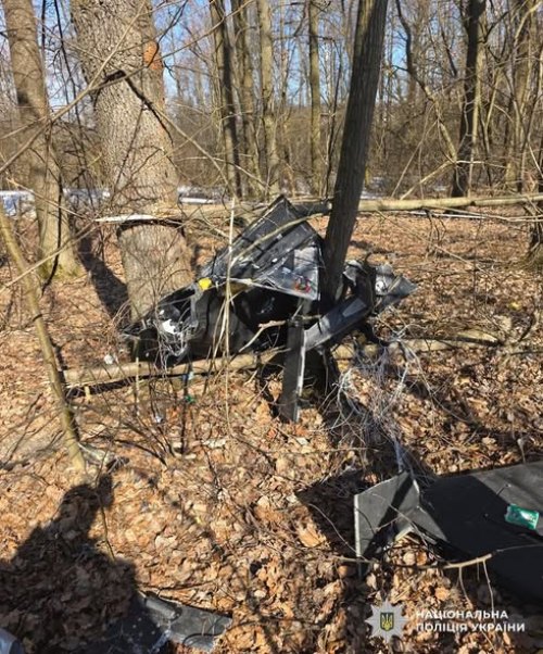 ������������� ������ ����������� �����������: ������� ����� ���������� ����������� ���